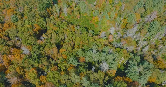 $149,500 | 346 Cueball Road, Coventry, NY 13787