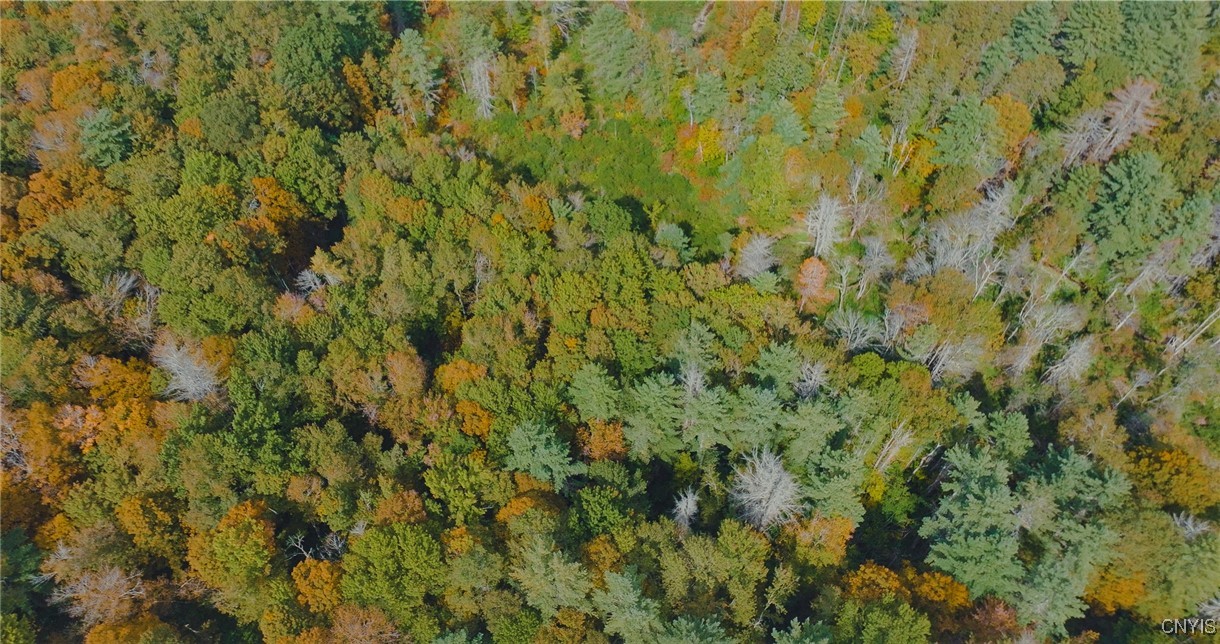 346 Cueball Road Coventry, NY 13787 - Photo 8 of 19