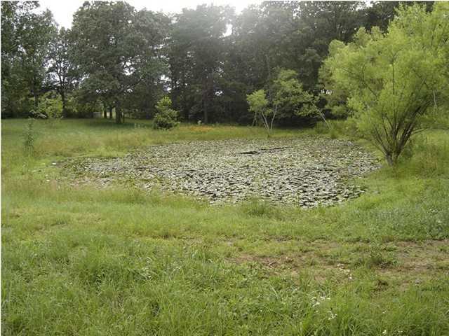 2617 Miller Road Signal Mountain, TN 37377 - Photo 3 of 9 Additional Photo