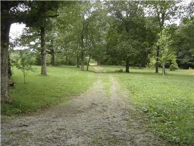 2617 Miller Road Signal Mountain, TN 37377 - Photo 4 of 9 Additional Photo