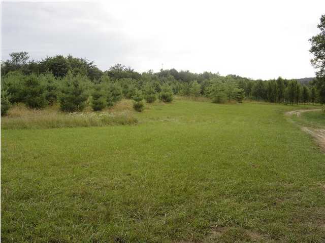 2617 Miller Road Signal Mountain, TN 37377 - Photo 6 of 9 Additional Photo