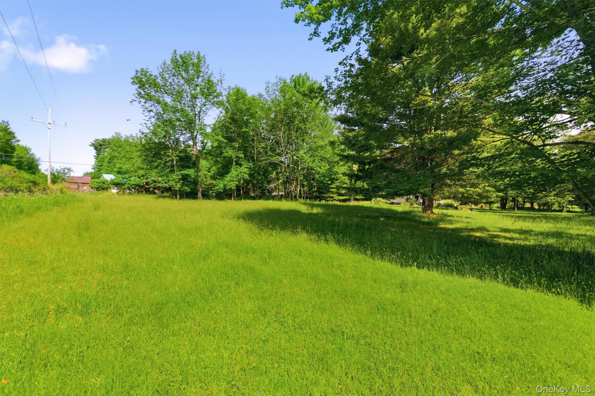 Tbd Britman Road Bethel, NY 12720 - Photo 3 of 16