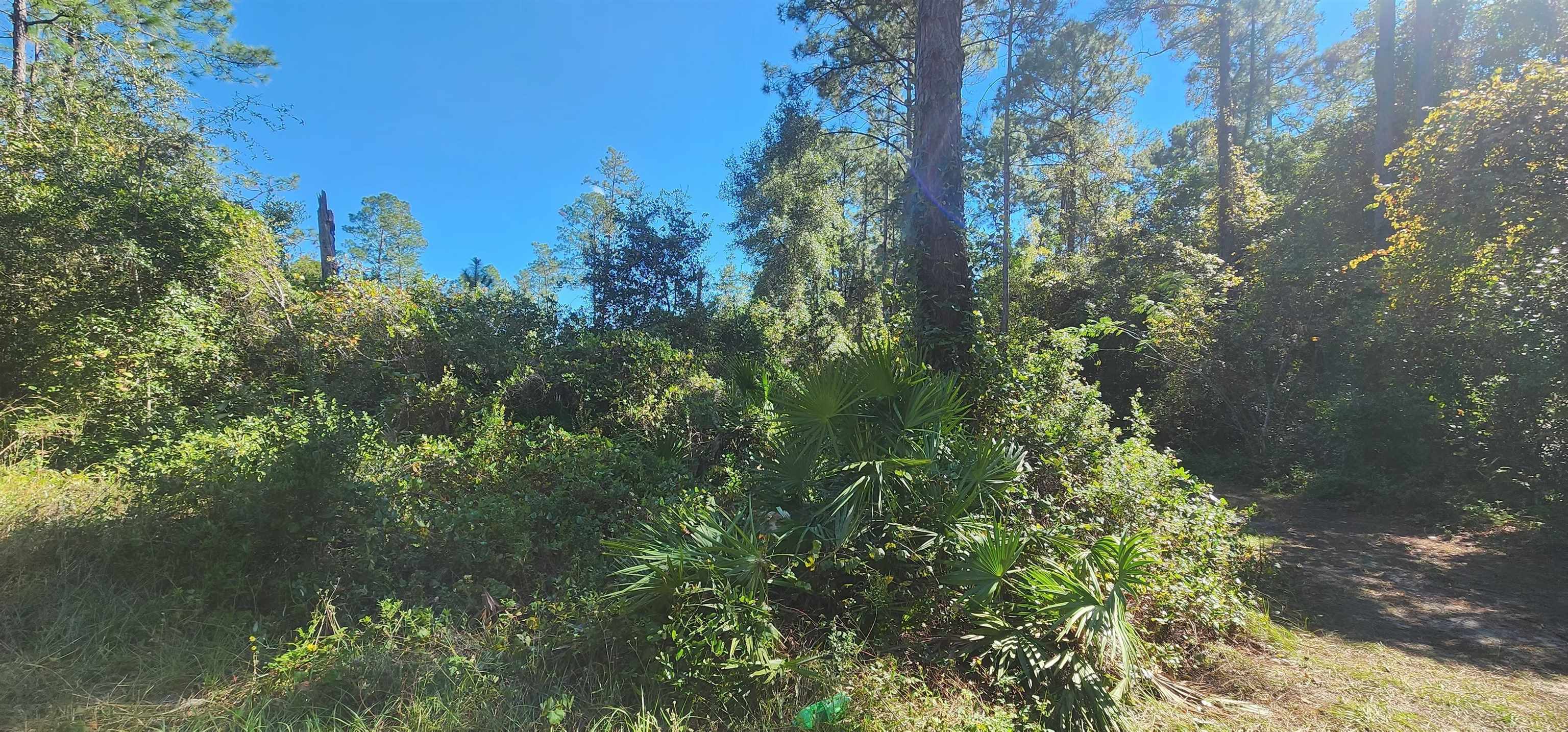 Tbd North Edgeline Road Satsuma, FL 32189 - Photo 2 of 3