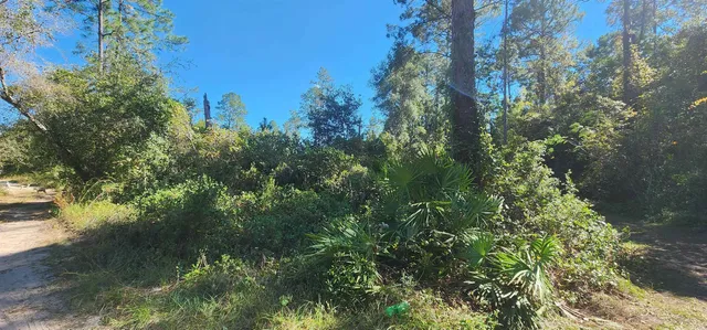 $9,900 | Tbd North Edgeline Road, Satsuma, FL 32189