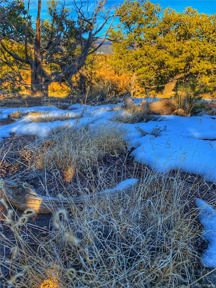 634 Tbd County Road Gardner, CO 81040 - Photo 11 of 11 Gallery Image 11