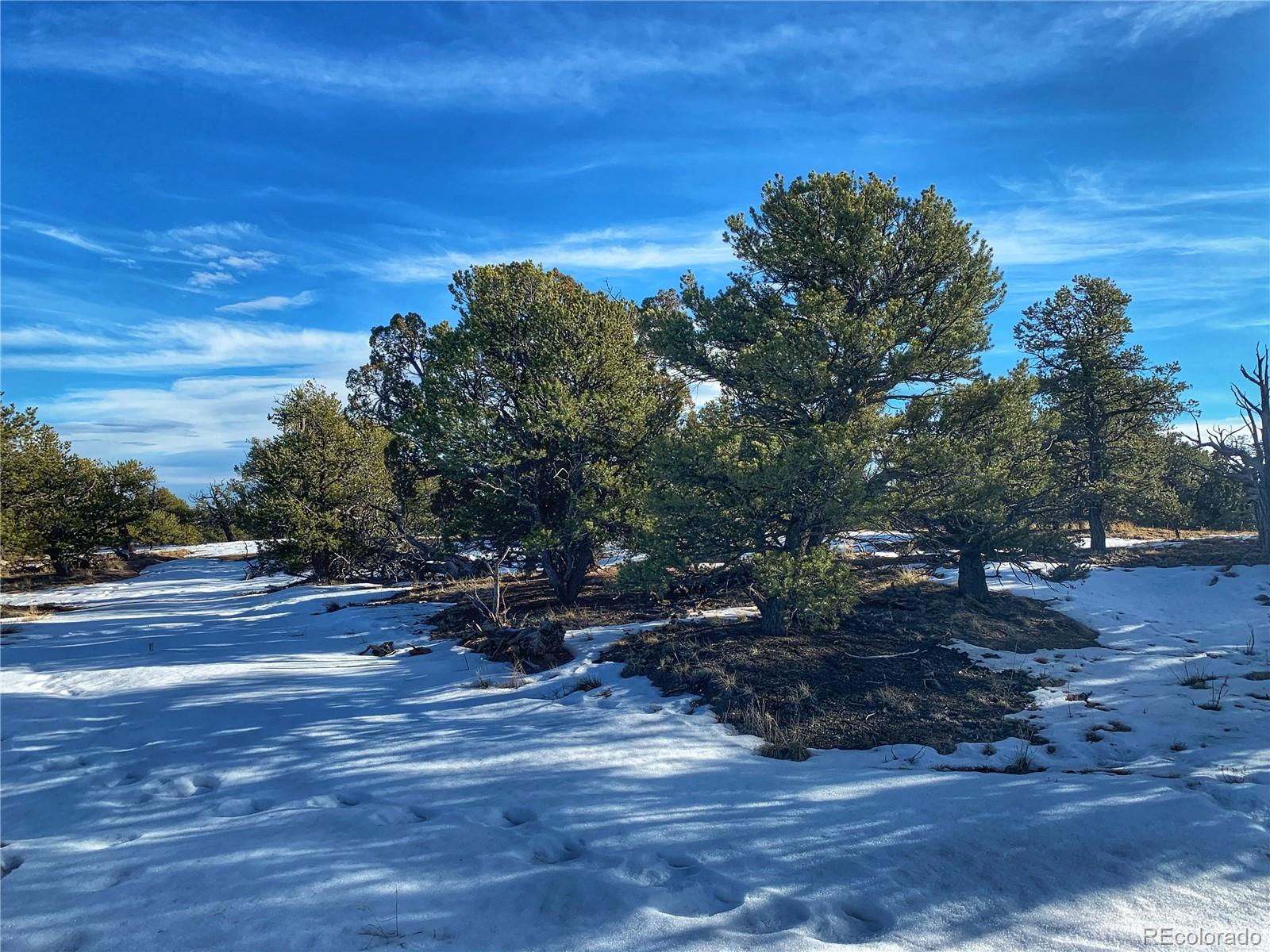 634 Tbd County Road Gardner, CO 81040 - Photo 3 of 11 Gallery Image 3