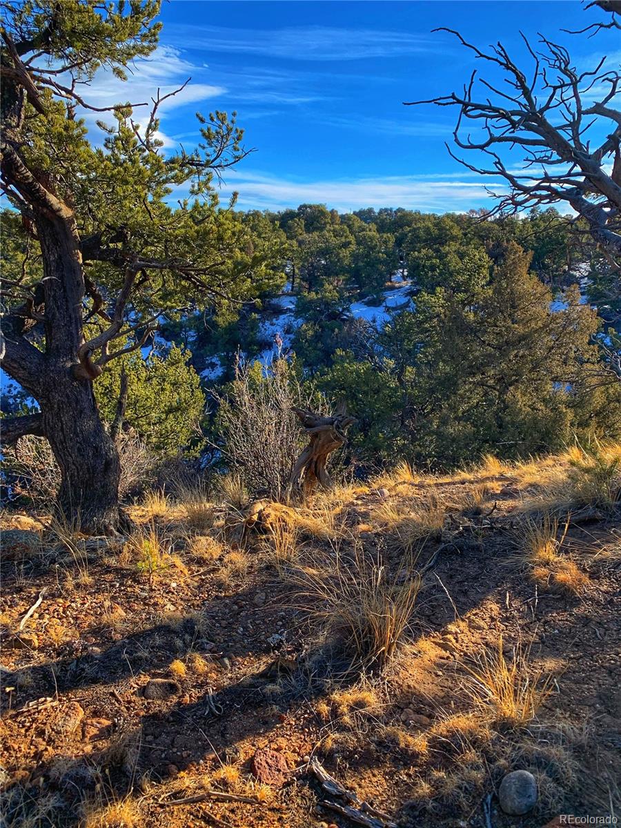 634 Tbd County Road Gardner, CO 81040 - Photo 6 of 11 Gallery Image 6