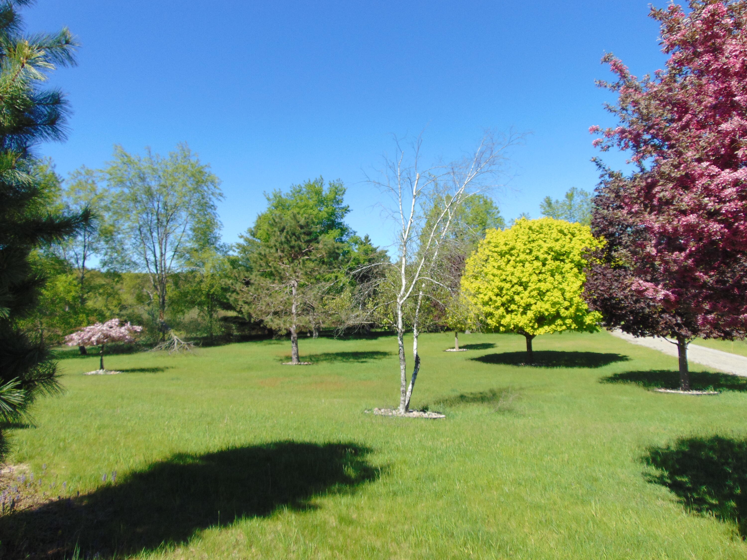 1595 South Poor Farm Road Mikado, MI 48745 - Photo 36 of 78 DSC05280