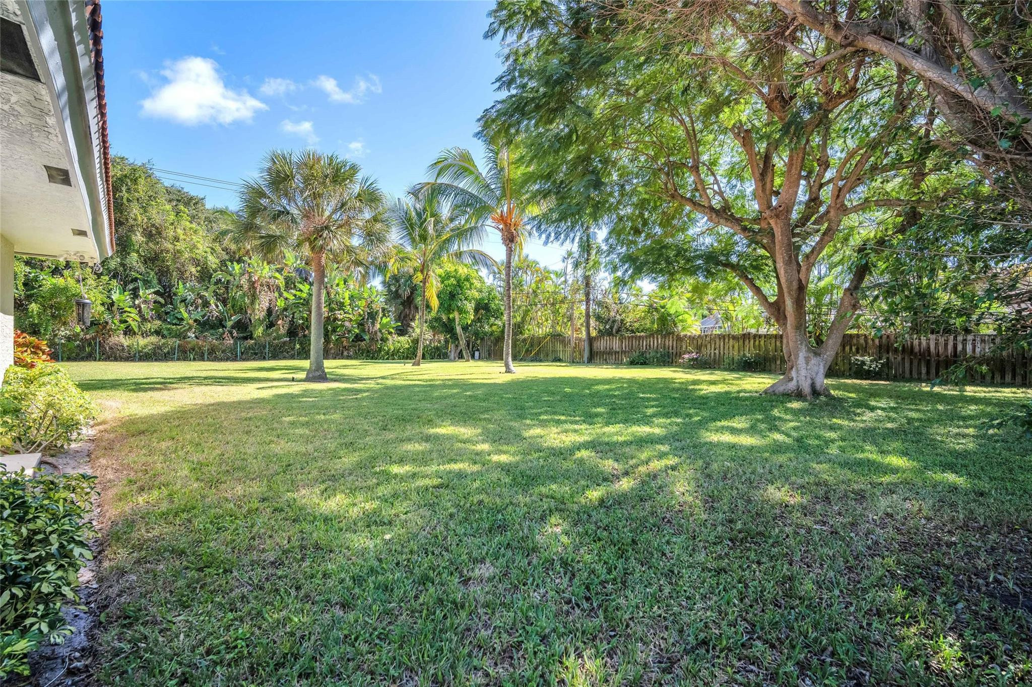 428 Northwest 13th Street Boca Raton, FL 33432 - Photo 9 of 45 Shade trees in the backyard