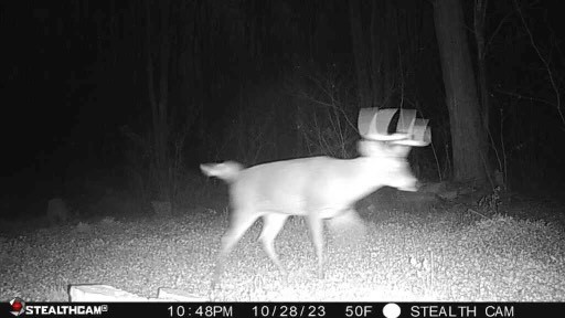 3570 West Walworth Road Walworth, NY 14502 - Photo 11 of 12