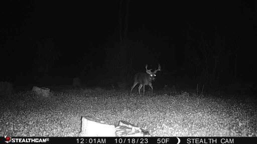 3570 West Walworth Road Walworth, NY 14502 - Photo 12 of 12