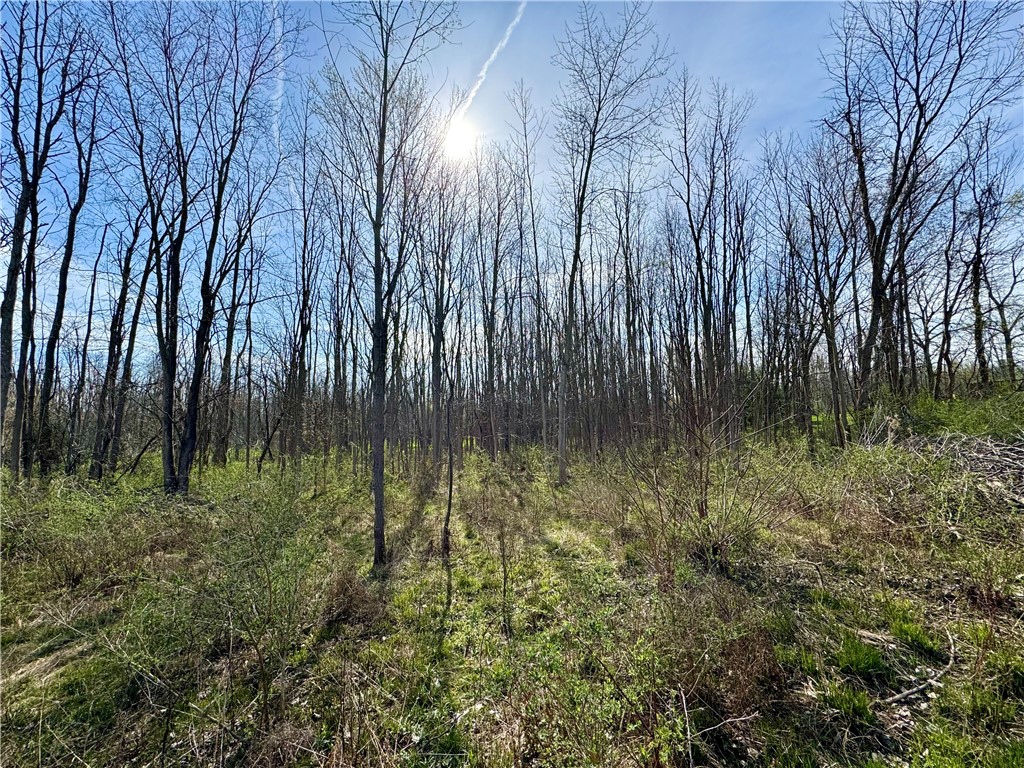 3570 West Walworth Road Walworth, NY 14502 - Photo 2 of 12