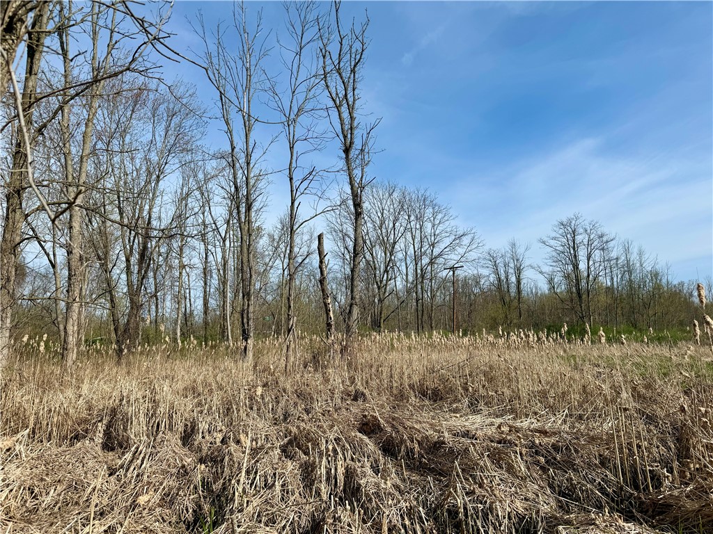 3570 West Walworth Road Walworth, NY 14502 - Photo 3 of 12