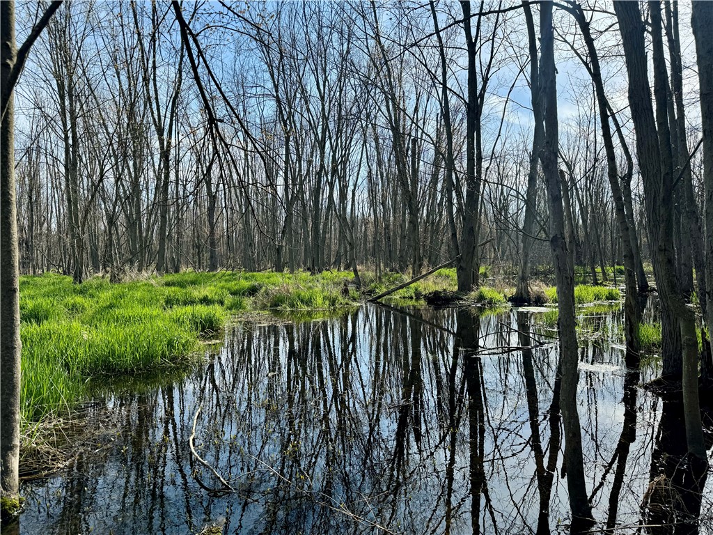 3570 West Walworth Road Walworth, NY 14502 - Photo 4 of 12
