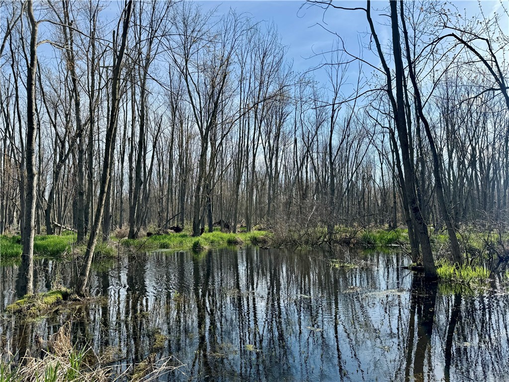 3570 West Walworth Road Walworth, NY 14502 - Photo 5 of 12