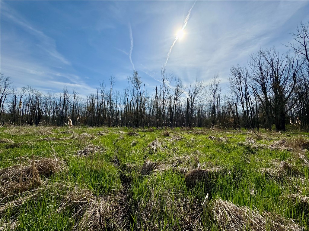 3570 West Walworth Road Walworth, NY 14502 - Photo 6 of 12