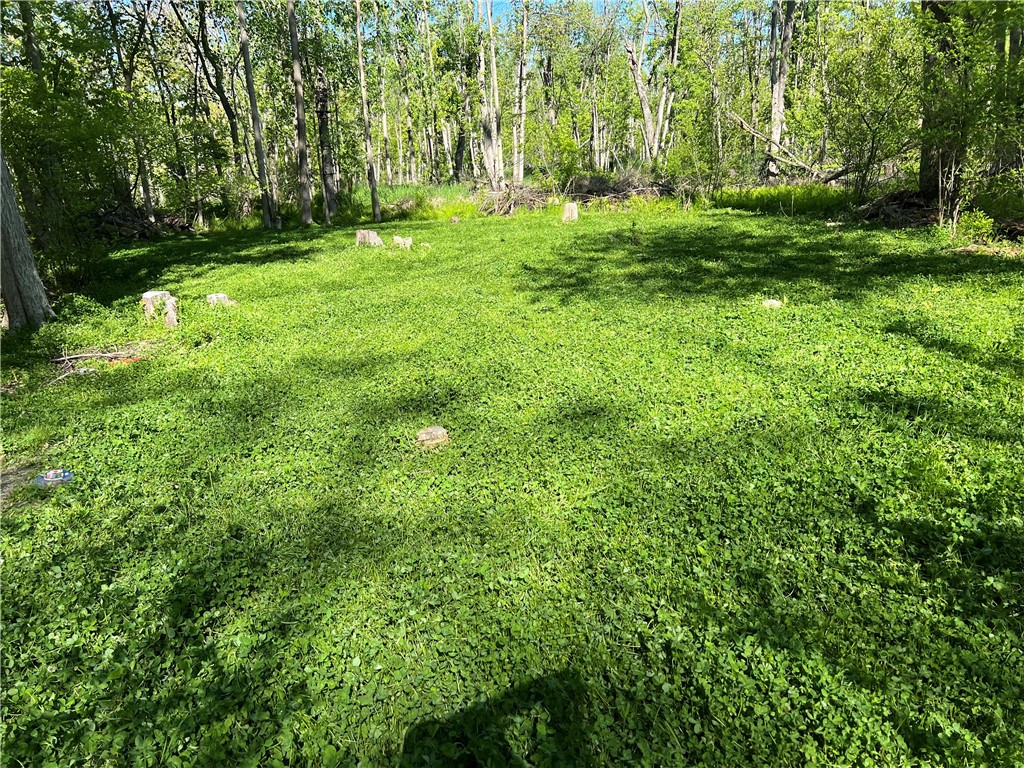 3570 West Walworth Road Walworth, NY 14502 - Photo 7 of 12