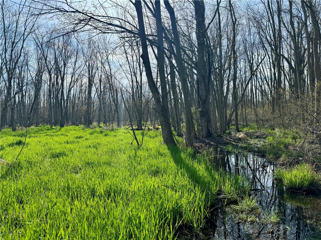 3570 West Walworth Road Walworth, NY 14502 - Photo 8 of 12