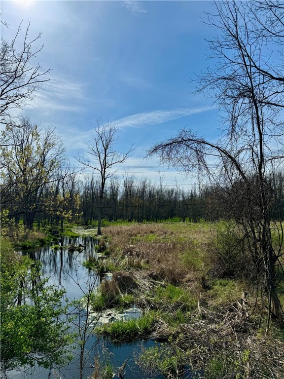 3570 West Walworth Road Walworth, NY 14502 - Photo 9 of 12