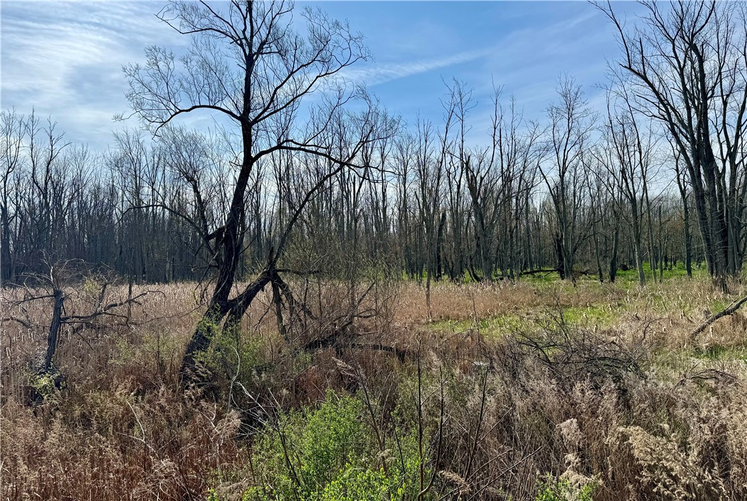 3570 West Walworth Road Walworth, NY 14502 - Photo 10 of 12