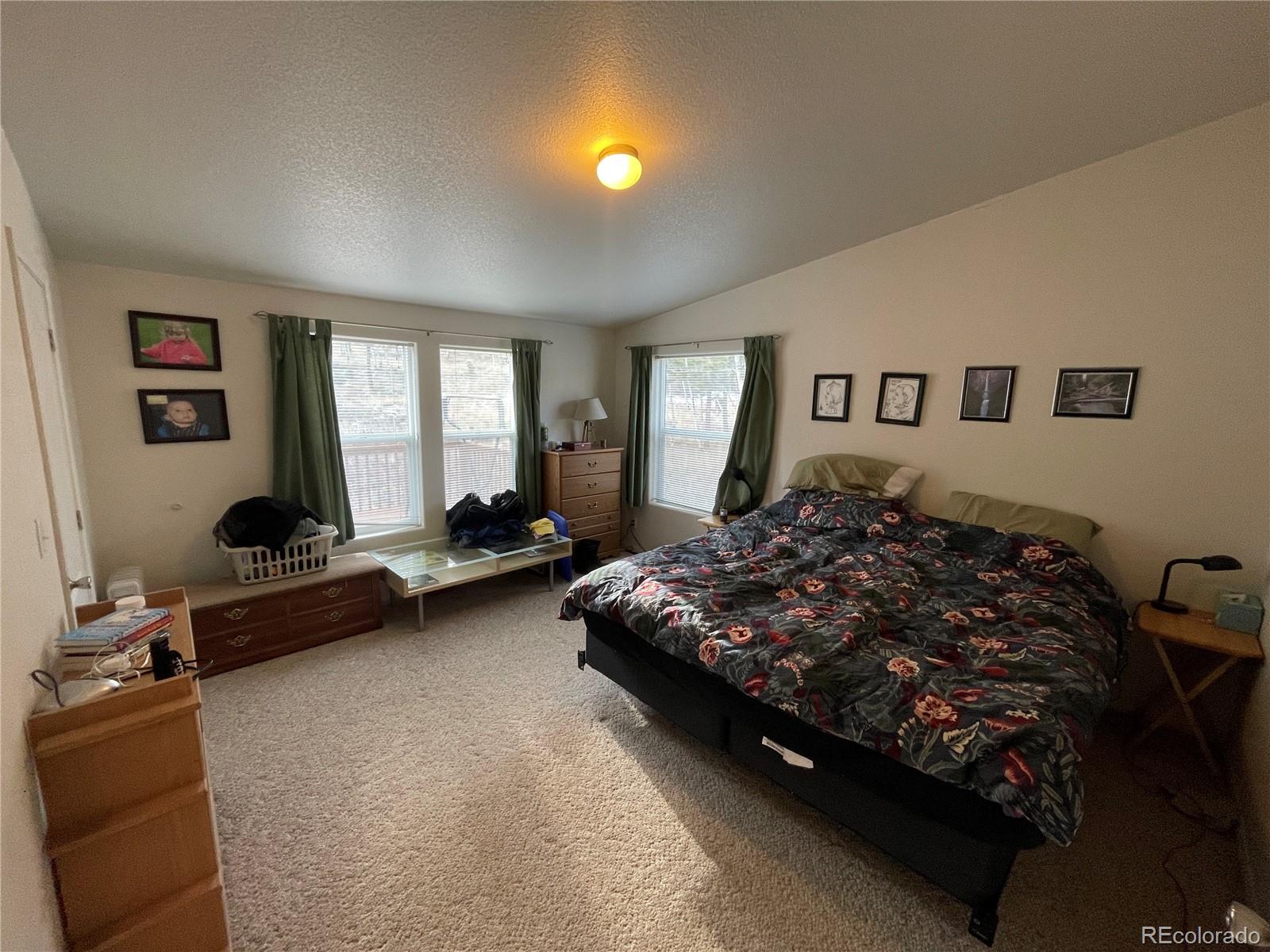 699 Bellows Road Hartsel, CO 80449 - Photo 21 of 32