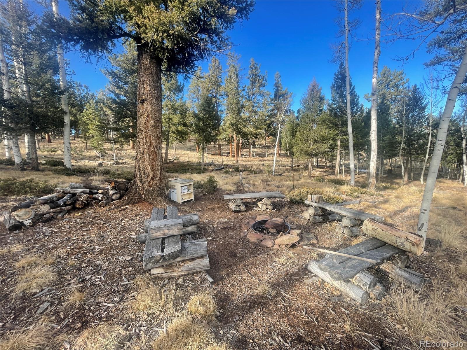 699 Bellows Road Hartsel, CO 80449 - Photo 26 of 32
