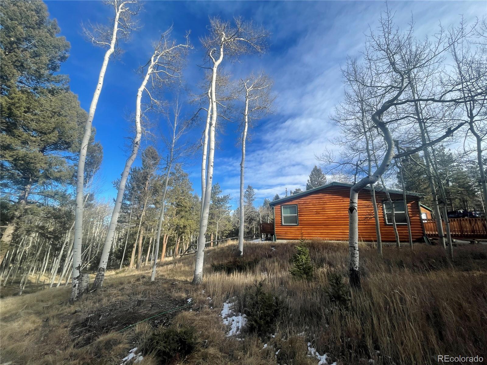 699 Bellows Road Hartsel, CO 80449 - Photo 27 of 32