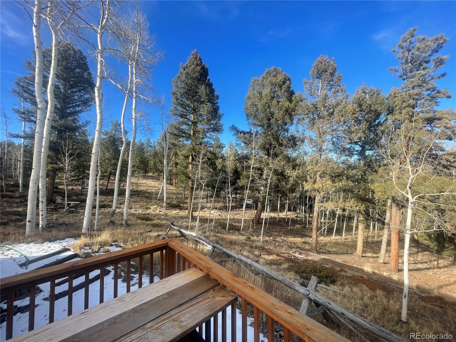 699 Bellows Road Hartsel, CO 80449 - Photo 4 of 32