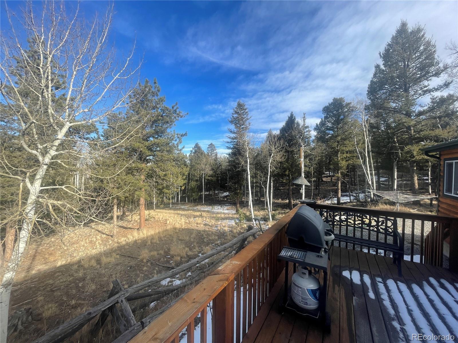 699 Bellows Road Hartsel, CO 80449 - Photo 5 of 32