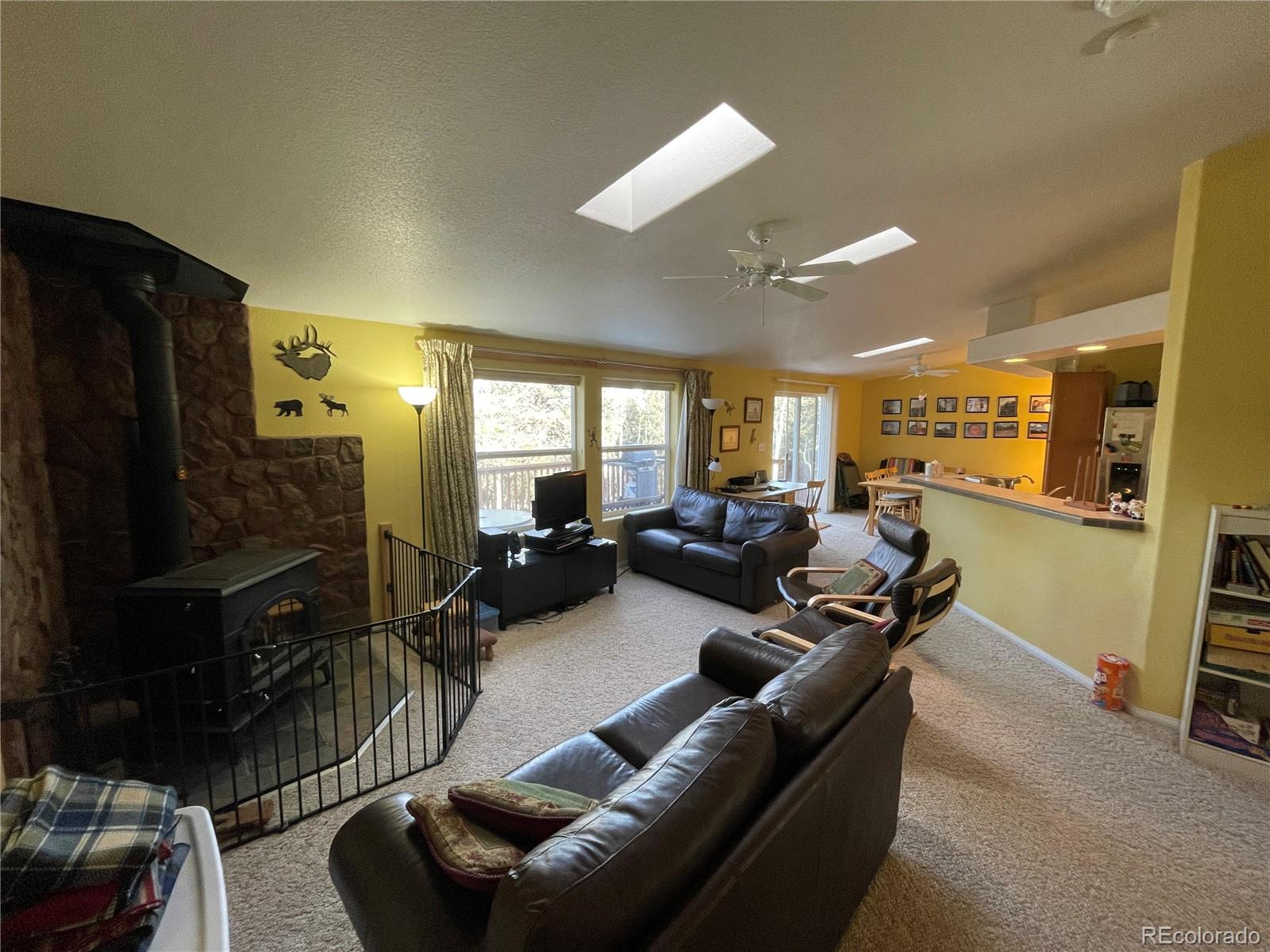 699 Bellows Road Hartsel, CO 80449 - Photo 7 of 32
