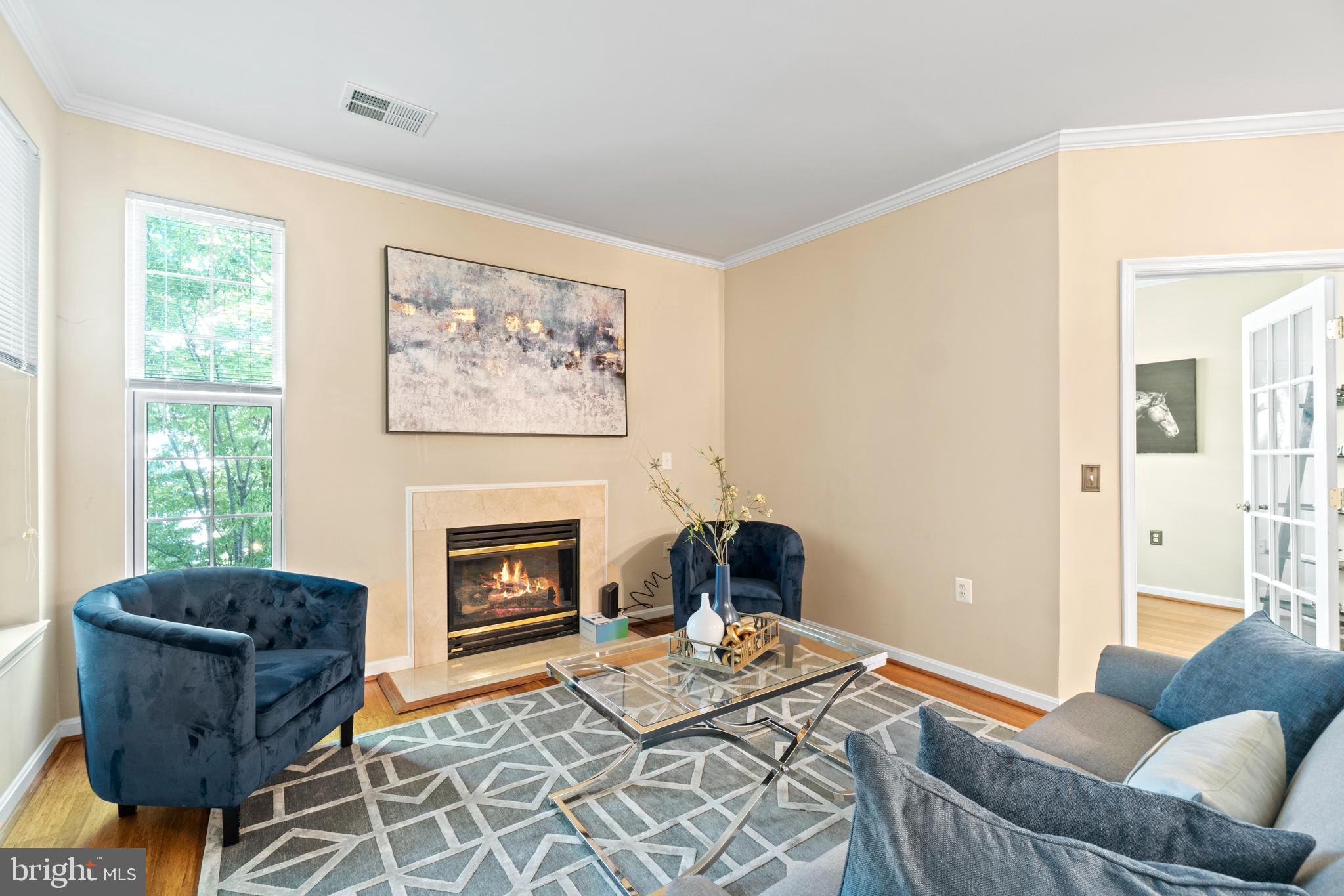 4310 Cannon Ridge Court, Unit 84 Fairfax, VA 22033 - Photo 16 of 43 Living Room
