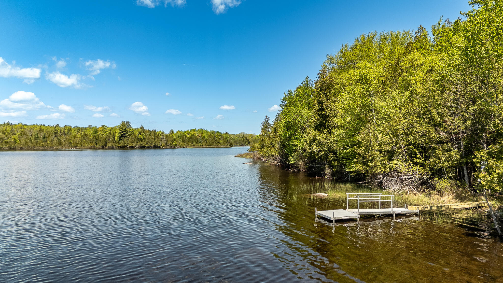 87 North Dexter Road Sangerville, ME 04479 - Photo 5 of 98 DJI_20260526121605_0422_D