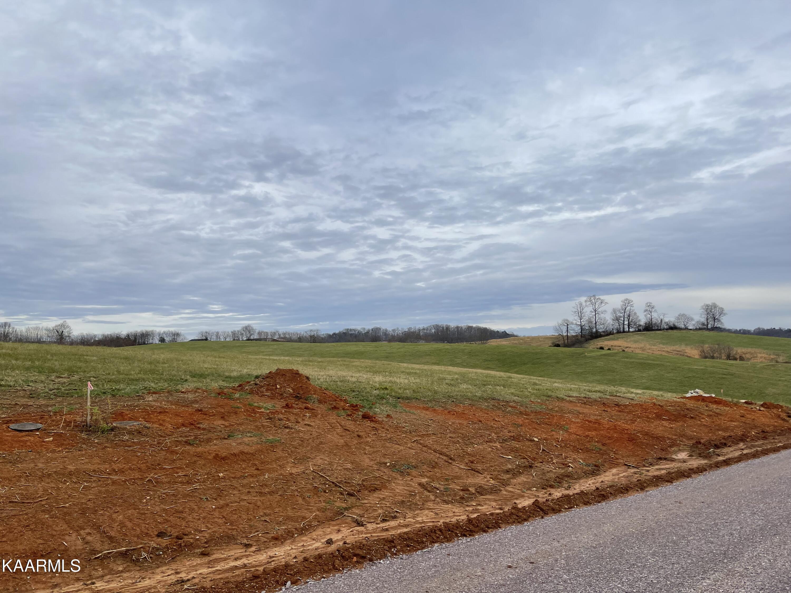 Lot 74 Howell River Road Rutledge, TN 37861 - Photo 1 of 2 IMG_4078