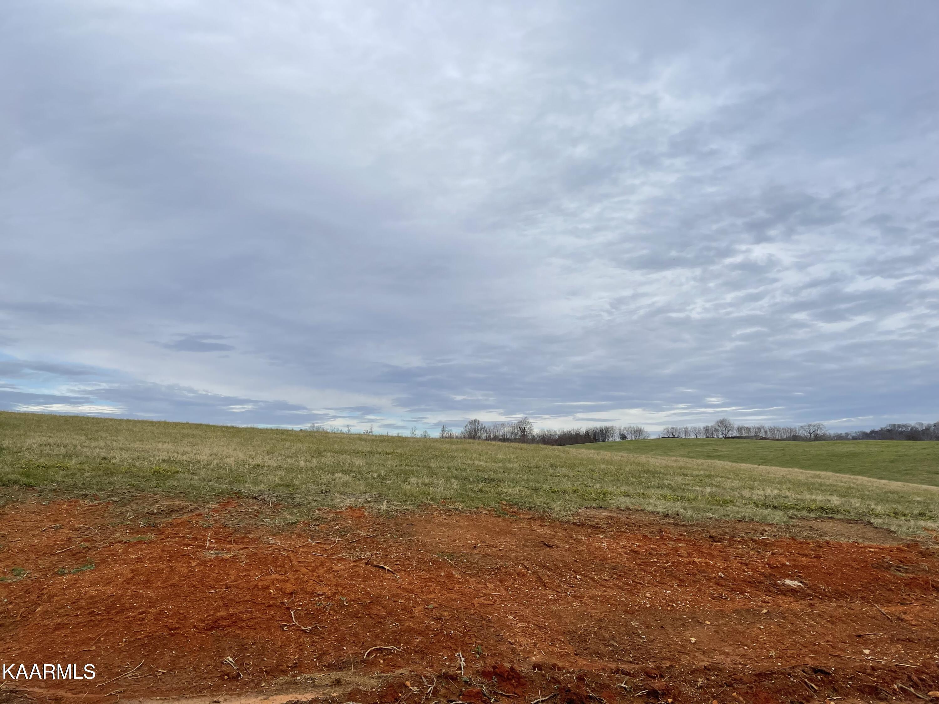Lot 74 Howell River Road Rutledge, TN 37861 - Photo 2 of 2 IMG_4079