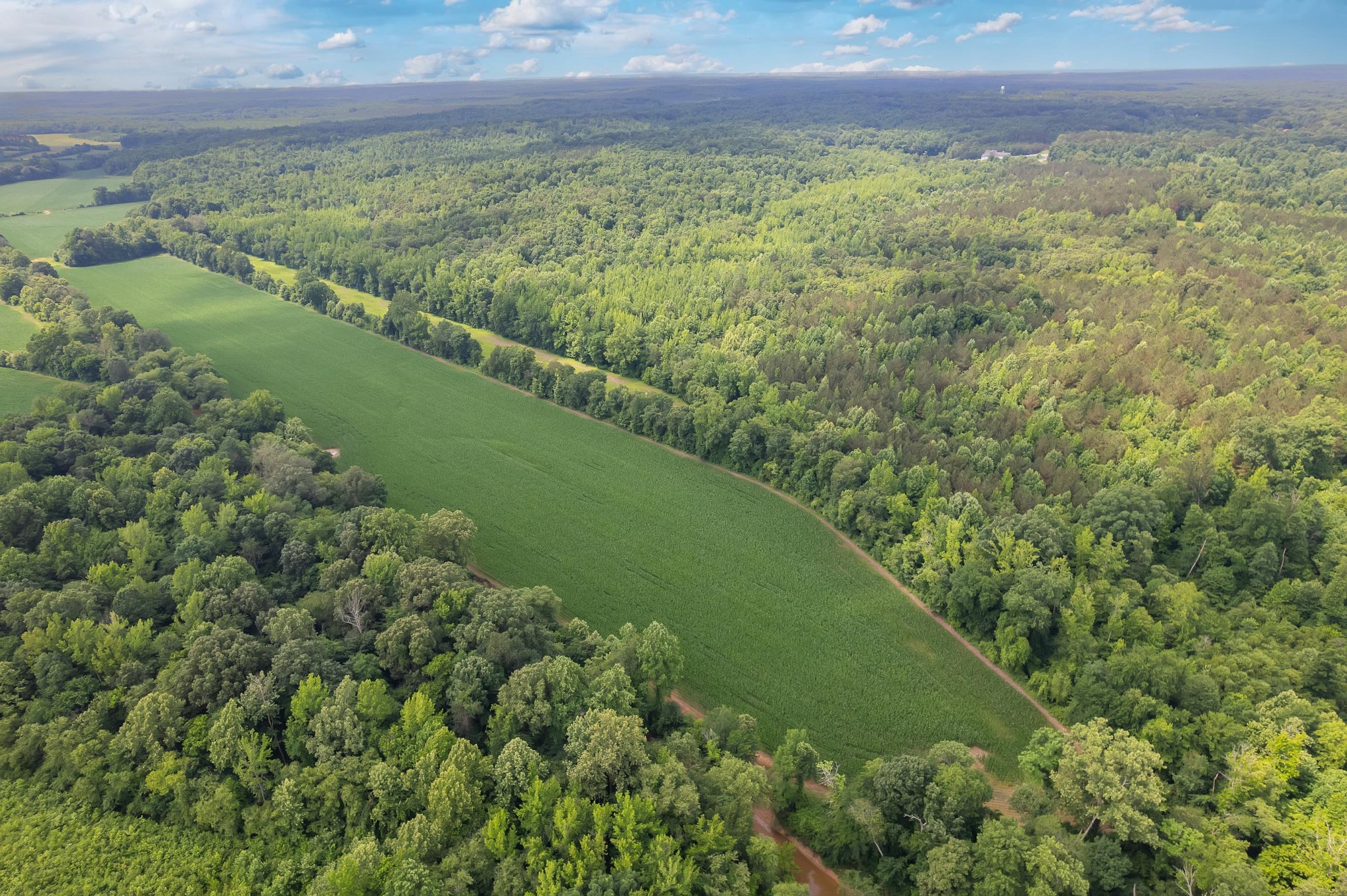 157 Howley Lane Cedar Grove, TN 38321 - Photo 42 of 43