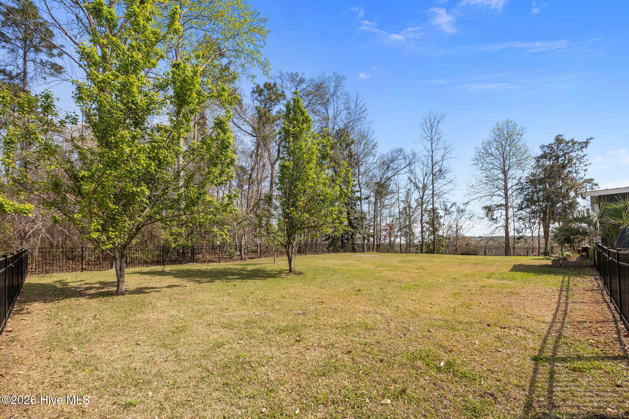 319 Blue Top Road Jacksonville, NC 28540 - Photo 48 of 62 62-web-or-mls-IMG_6319