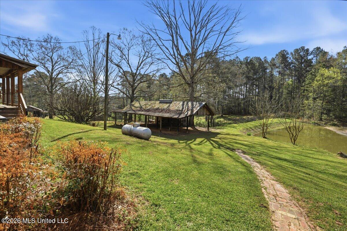 410 Carson Road Carthage, MS 39051 - Photo 12 of 46 12-410_Carson_Road_034