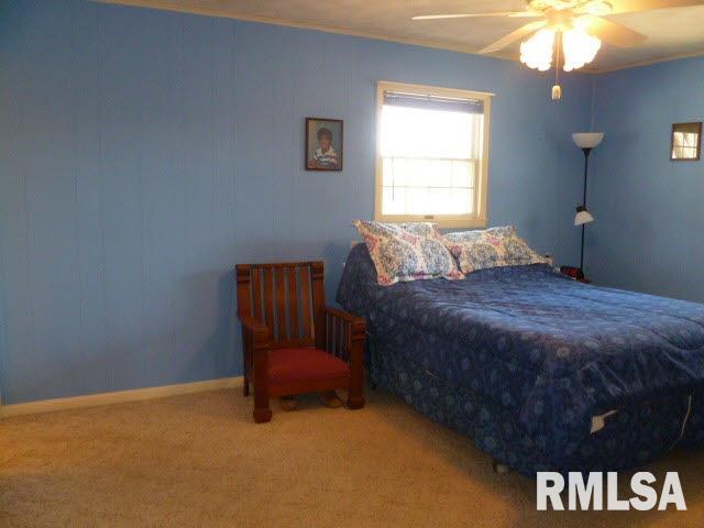 3312 Nation Road Salem, IL 62881 - Photo 15 of 24