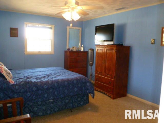 3312 Nation Road Salem, IL 62881 - Photo 17 of 24