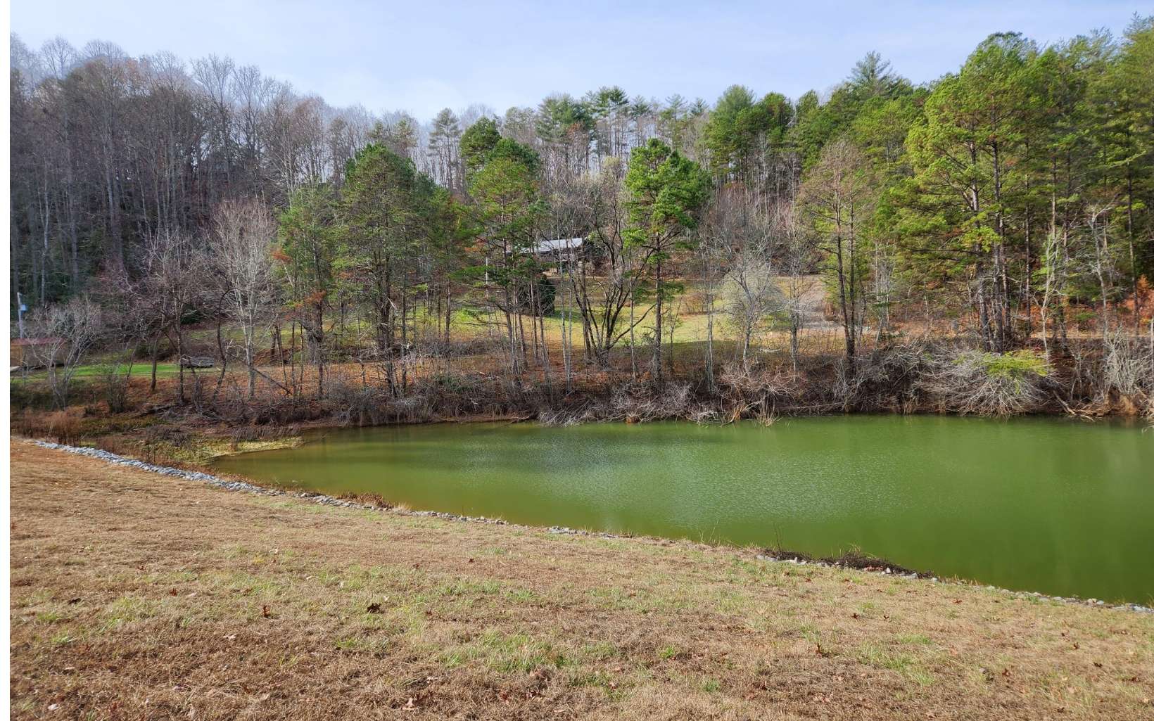 375 Twin Pond Road Murphy, NC 28906 - Photo 2 of 16 Additional View
