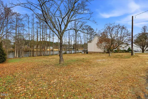 a view of yard with trees