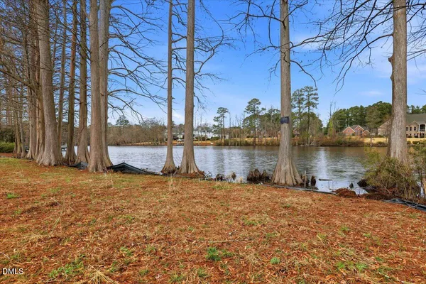a backyard of a house with lots of green space and fountain