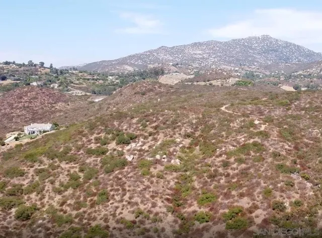 an aerial view of houses covered in trees