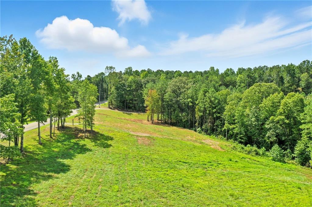 3511 Reavis Mountain Road, Unit 2 Ball Ground, GA 30107 - Photo 10 of 16