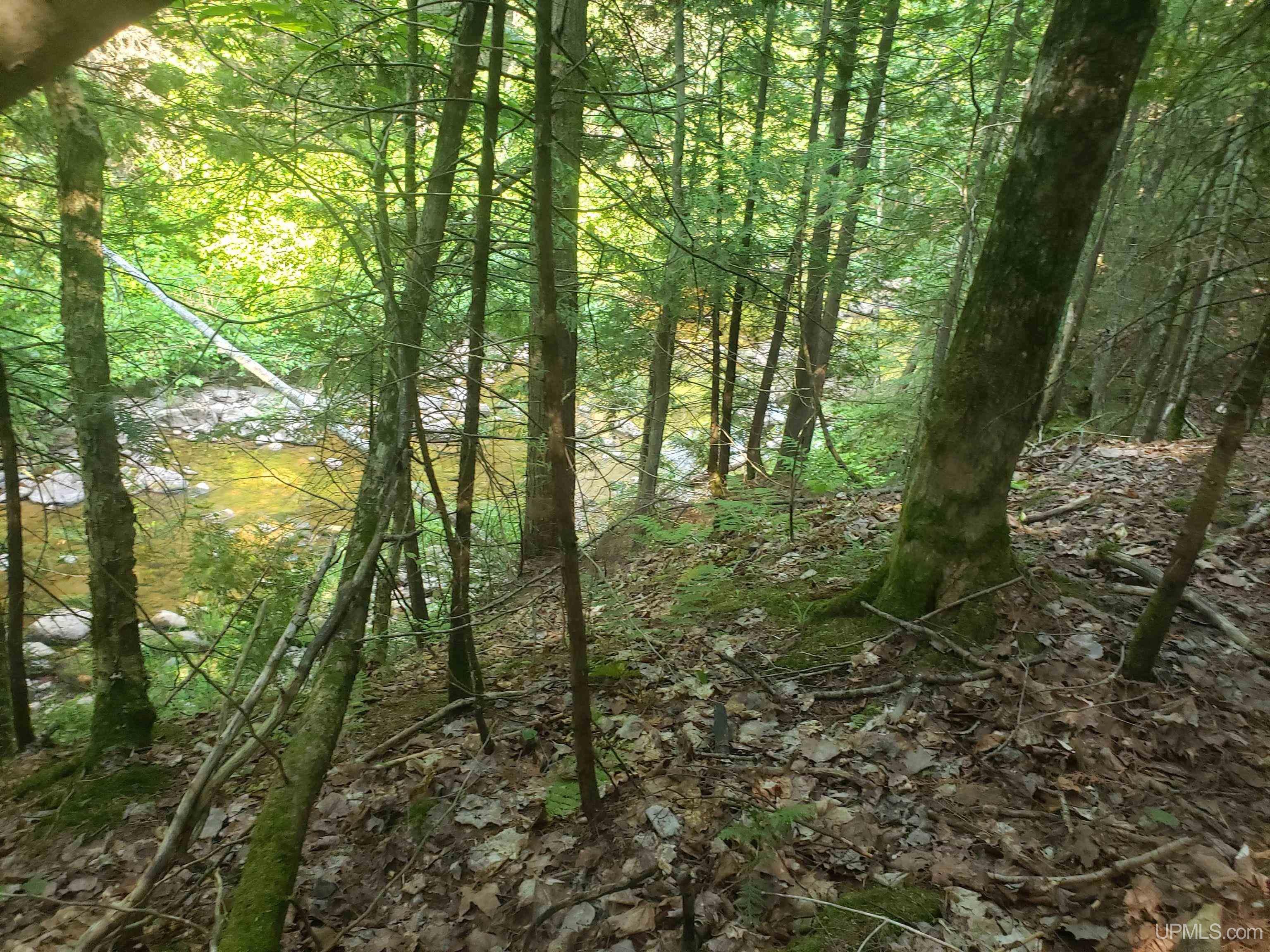 35200 L P Walsh Road Ontonagon, MI 49953 - Photo 2 of 15