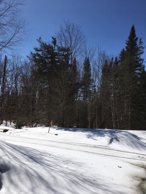 0 McAllaster Road Stewartstown, NH 03576 - Photo 3 of 6 Gallery Image 3