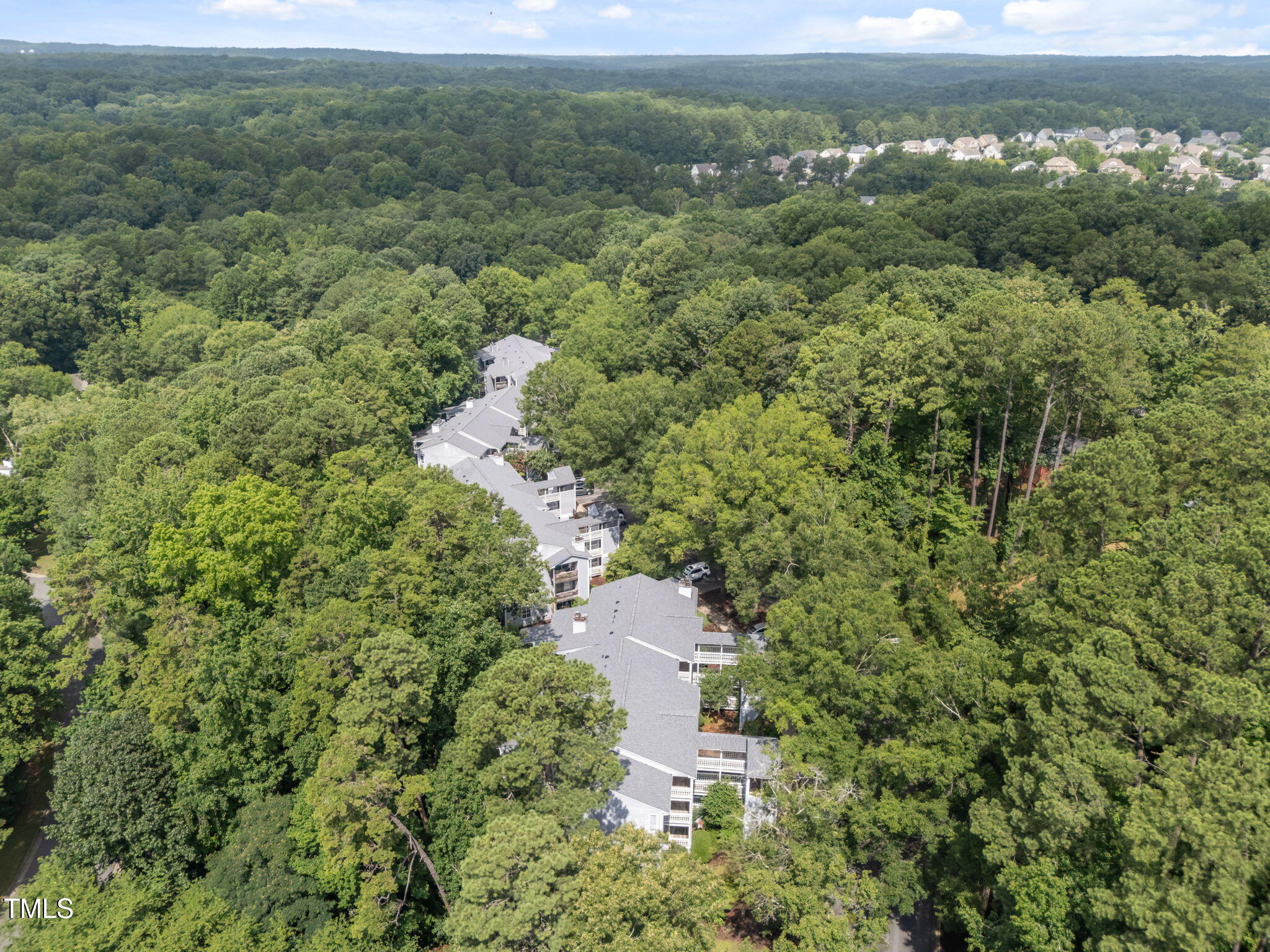 4601 Timbermill Court, Unit 303 Raleigh, NC 27612 - Photo 35 of 37 a view of a forest with a houses
