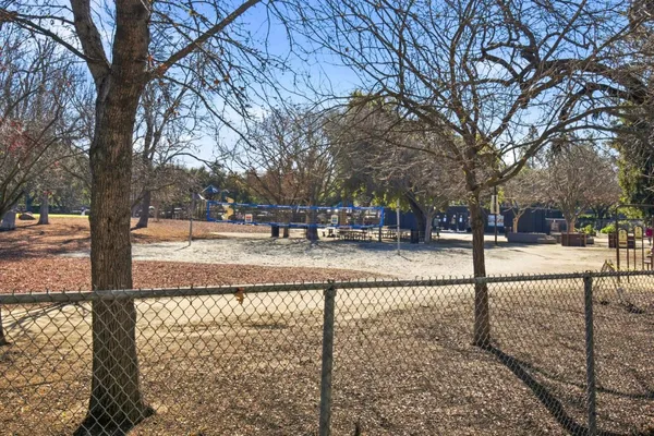 a view of a yard with a tree