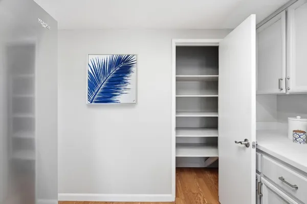 a view of walk in closet with empty racks