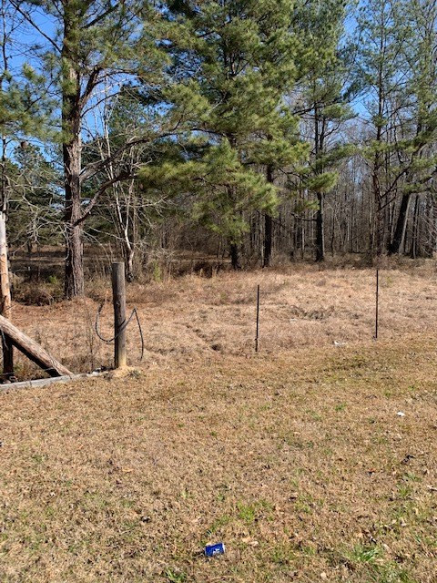 117 Arm Road Silver Creek, MS 39663 - Photo 4 of 4 Photo 4